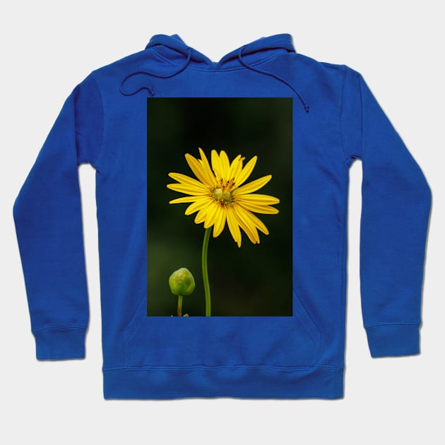 Prairie flower Hoodie by FlyingLilly